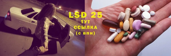 стаф Магадан