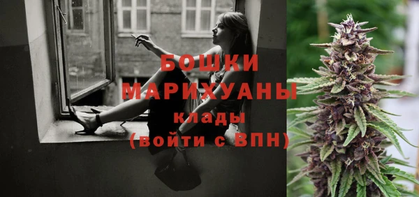 тгк Магас