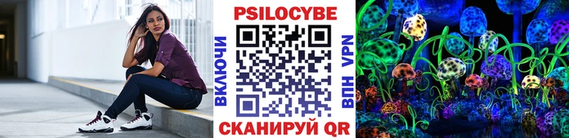 Купить где  Костомукша  Галлюциногенные грибы мицелий 
